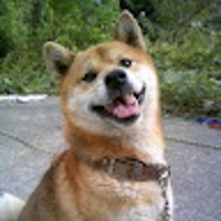 ねぼさん