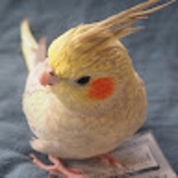 floating with the tide