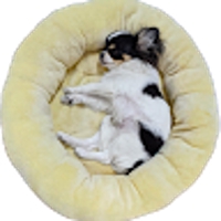 稲森／AI活用・育成サポート