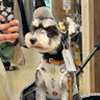 SEO対策、AIを用いたライティングや分析を教えます！-image1