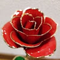 Ayano Sehata