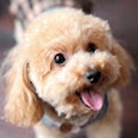 坂巻勇（まっき〜）