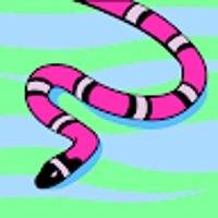 ヘビサワタケヒコ（SNAKE）