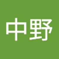 中野美奈子（Nakamina）