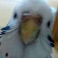 ゆん