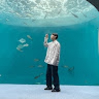 加藤大哉@教員免許エンジニア