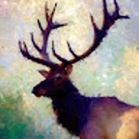 代々木ピンボール@IT事務