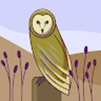 45A056-2_松村明日香