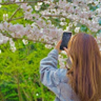 松岡知恵理