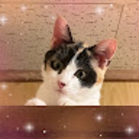 まさみ