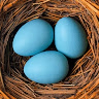 だいご@1億円UPデータマーケティング