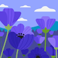 うみこ@キャリアコンサルティング技能士2級