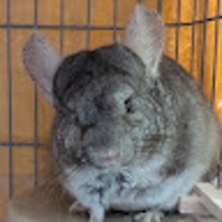 Webフルスタックエンジニアが相談乗ります。【4月限定格安】-image1