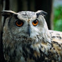 DAICHI TOMINAGA (Hokurooooo!!)