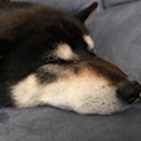 まつもとたつお