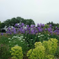 アボガド管理人