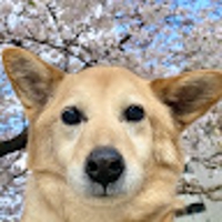 Suzuna Nakagawa