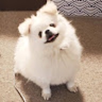 m m (しらたま)