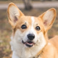 おーやまさん