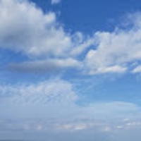 島袋悠