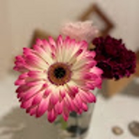 花吉カレン