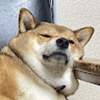 銀タロス