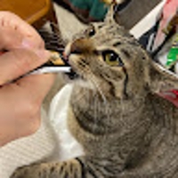 森野雄也