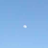 をかだまこと