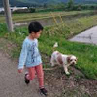 フクダフサコ