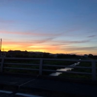 monaka@経済的自由への道