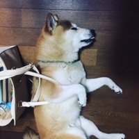Masaaki