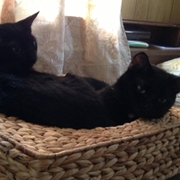 山城　こうへー