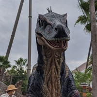 torinin@WEB制作会社の経営者