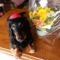 𝙩𝙤𝙧𝙞𝙠𝙚𝙣