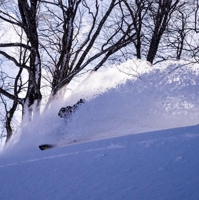 ミズシマ ショウ