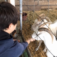 すー🐍Githibの登録から基本的な使い方までの0から1を支援する勉強会5/4に開催予定