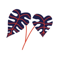 Yamada【SNS開発中】