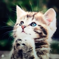 くりーむぶりゅれ