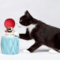 natsu igusdsadasfasfsaaaaaaaaaaaaaa###"!#"#"#"#"32