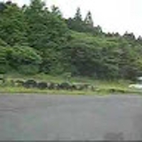 てんちむよう
