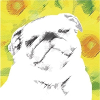花田 雄一