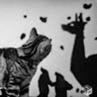 Nekoko /眠れる読み聞かせ