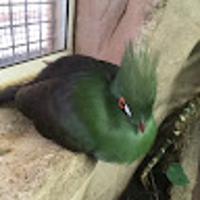 ひろ