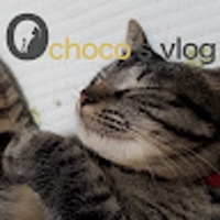 일본사는냥이아빠