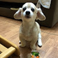 まっくすまっくす