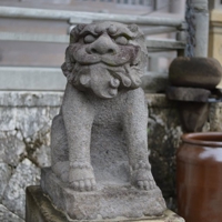 rockan201 映像編集＆カメラ