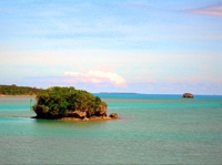 リベラルフォーク