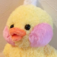ひよこのくちばし