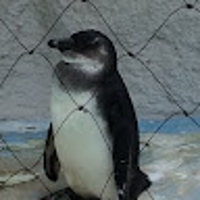 もぎもぎ