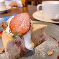 さくら＊Webデザイン独学中